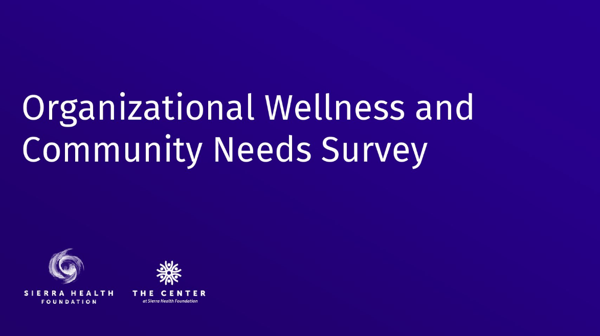 Organizational Wellness and Community Needs Survey report cover